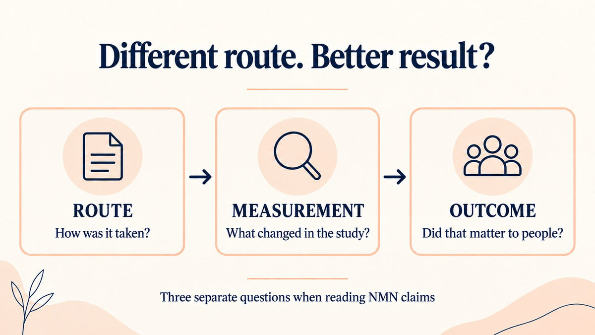Sublingual NMN claims separated into route, measurement and outcome questions