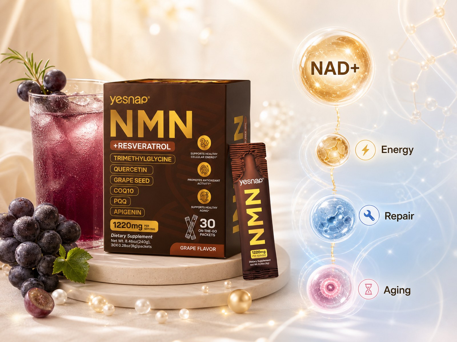 NAD+ cellular energy pathway