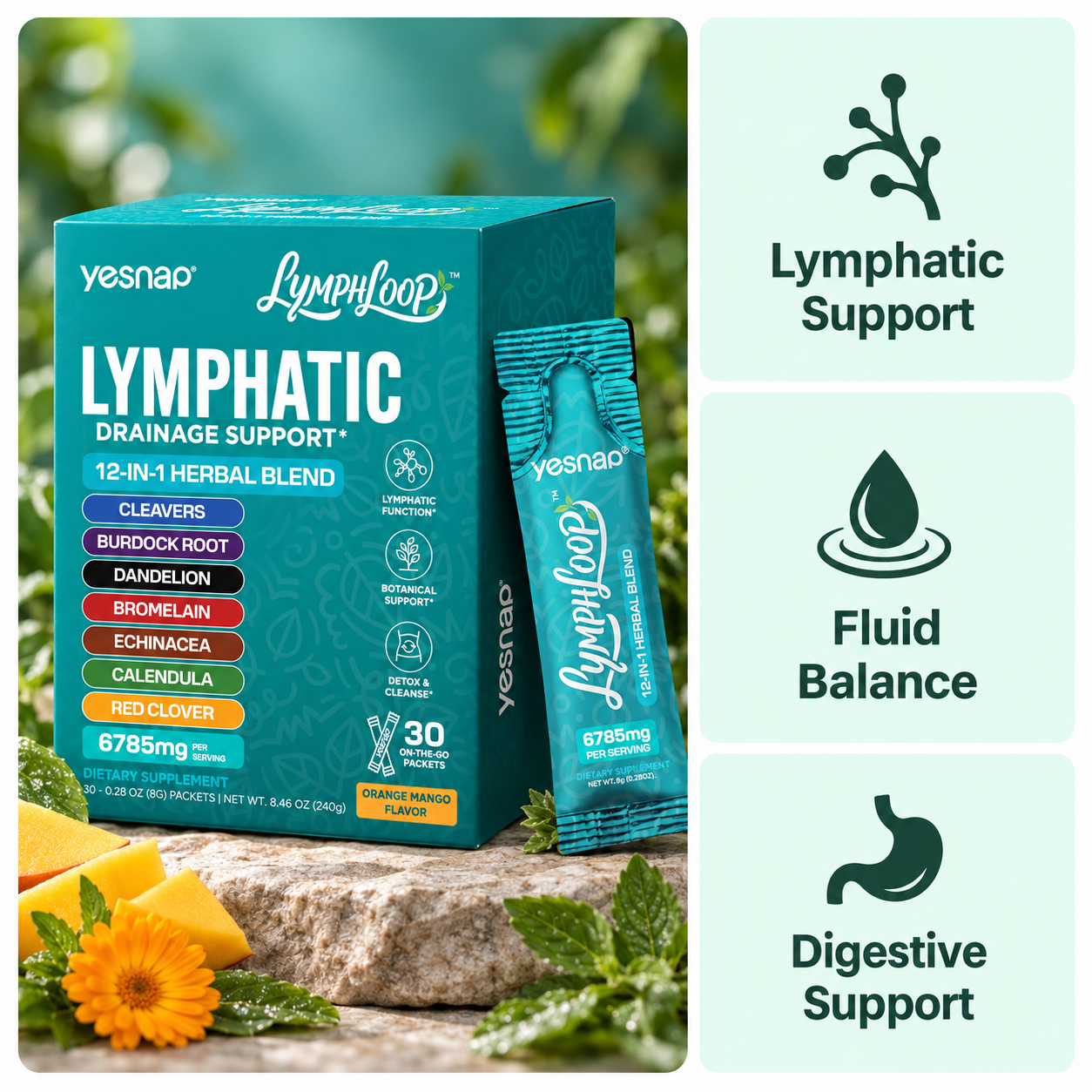 Yesnap Lymphatic Support — image 1